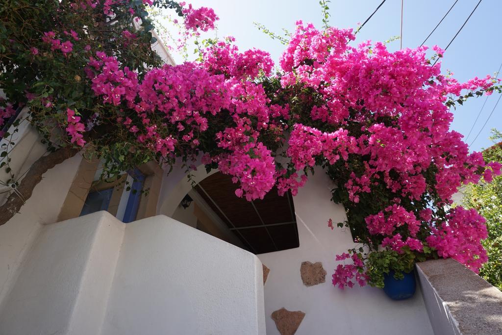 Patmos Maria Studios Skála Quarto foto